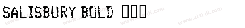 Salisbury Bold字体转换 Salisbury Bold字体转换